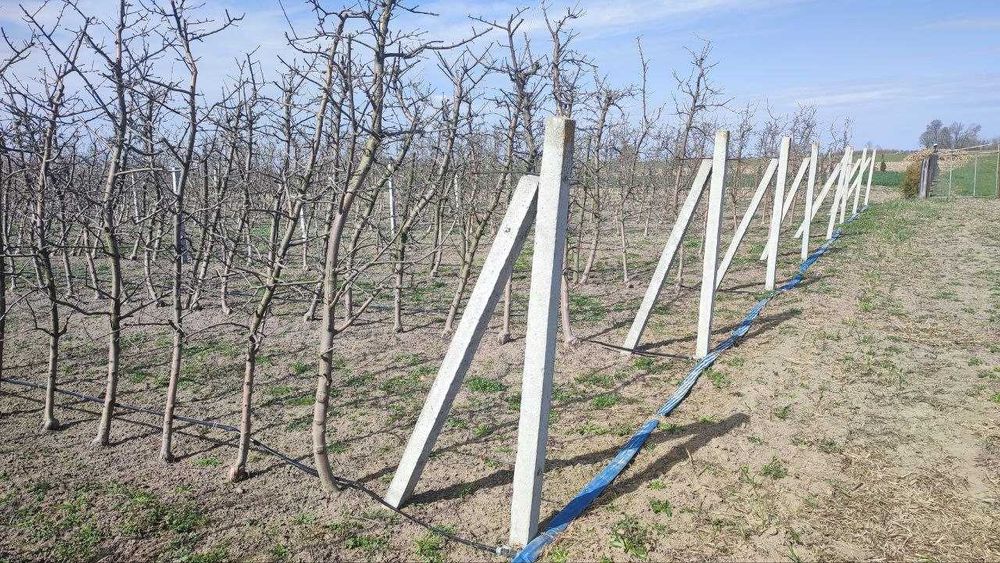 Продам приватизовану загороджену ділянку площею 90 сот. під бізнес або дачу