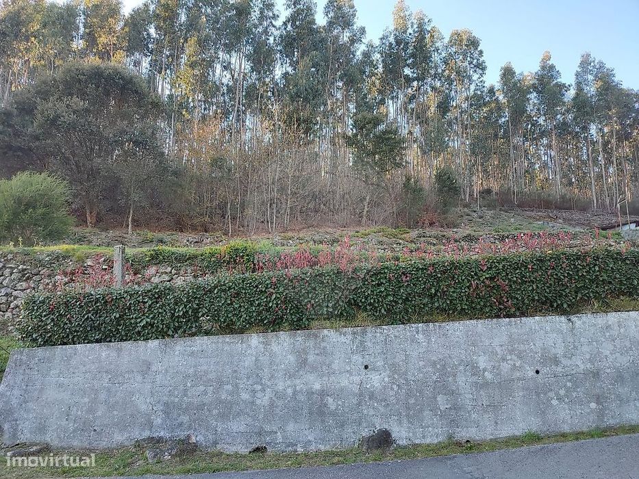 Terreno  para venda — São Pedro de Castelões, Aveiro