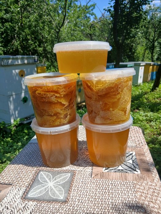 Продам майский мед 2026року