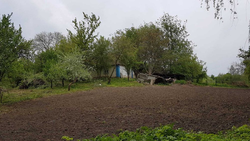 22,52 сотки землі з будинком та струмком | Власник | Триліси