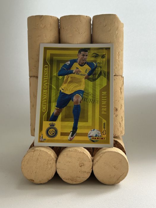 Panini Liga Portugal Betclic 2023/2024