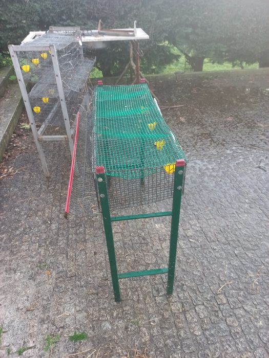 Jaula para 16 cordornizes