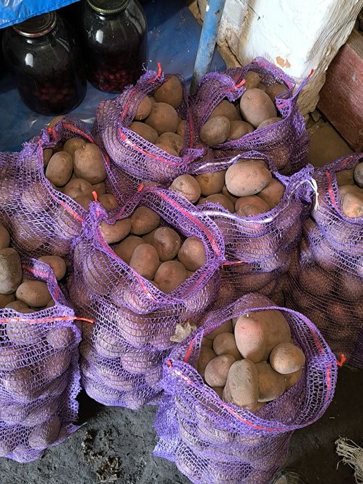 Продам картоплю(самовивоз)