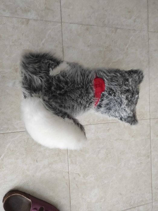 Cão de peluche da "Serra da Estrela"