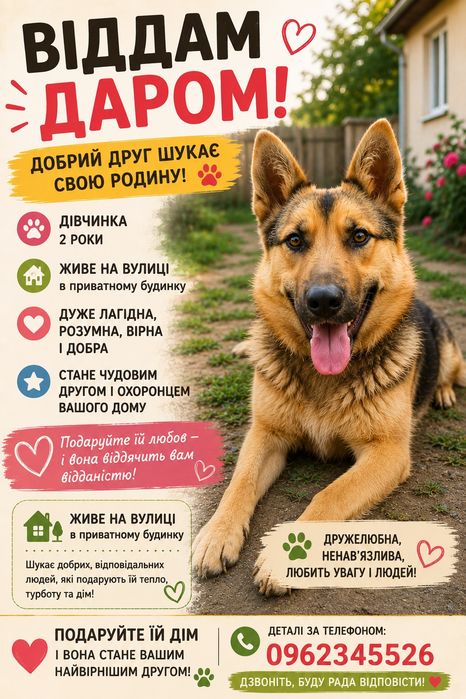 Віддам даром собаку