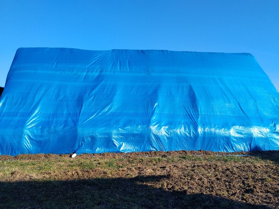 Słoma sucha jęczmienna