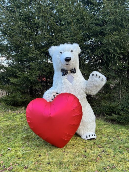 Biały Miś Barni żywa maskotka na imprezę