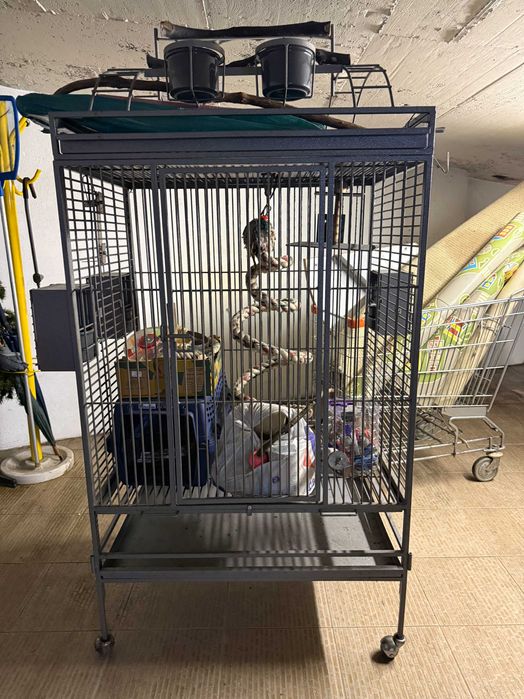 Gaiola Graaaande p/ Araras Papagaios - 100x70x180cm