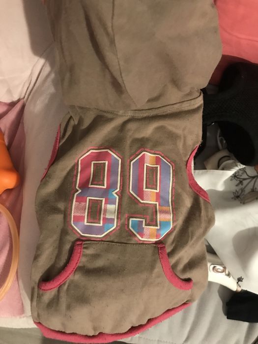 Legowisko i akcesoria