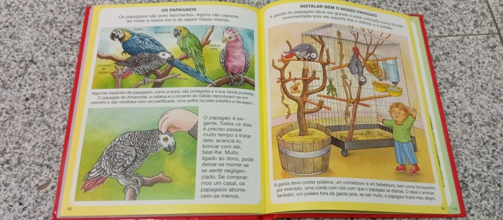 Livro dicionário por imagens