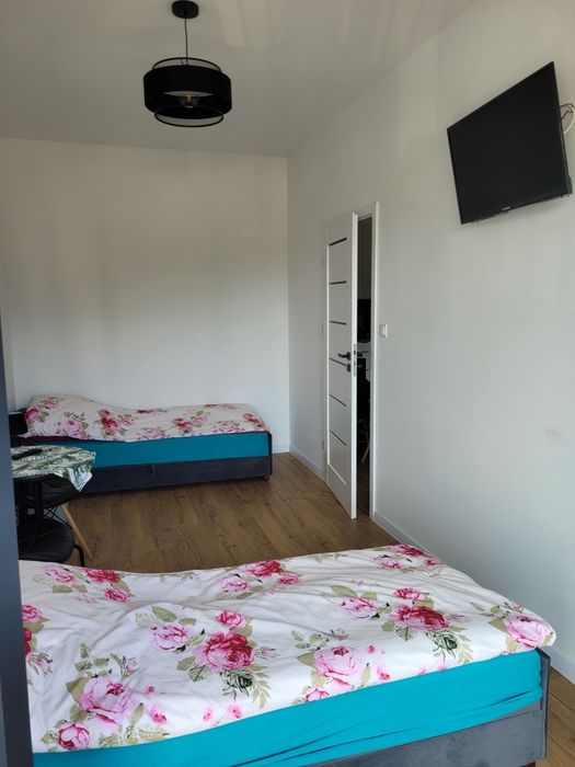 Apartament Fryderyk,pokoje,noclegi