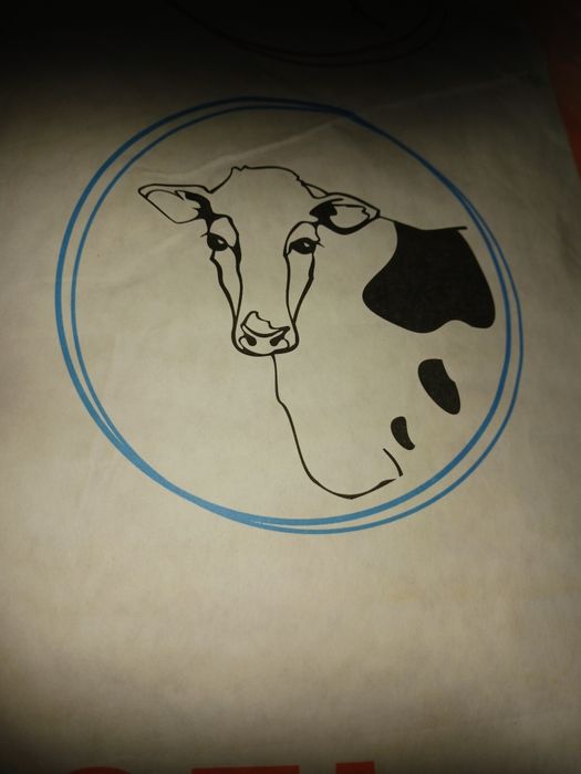 Koncentrat dla krów,jałówek i opasow