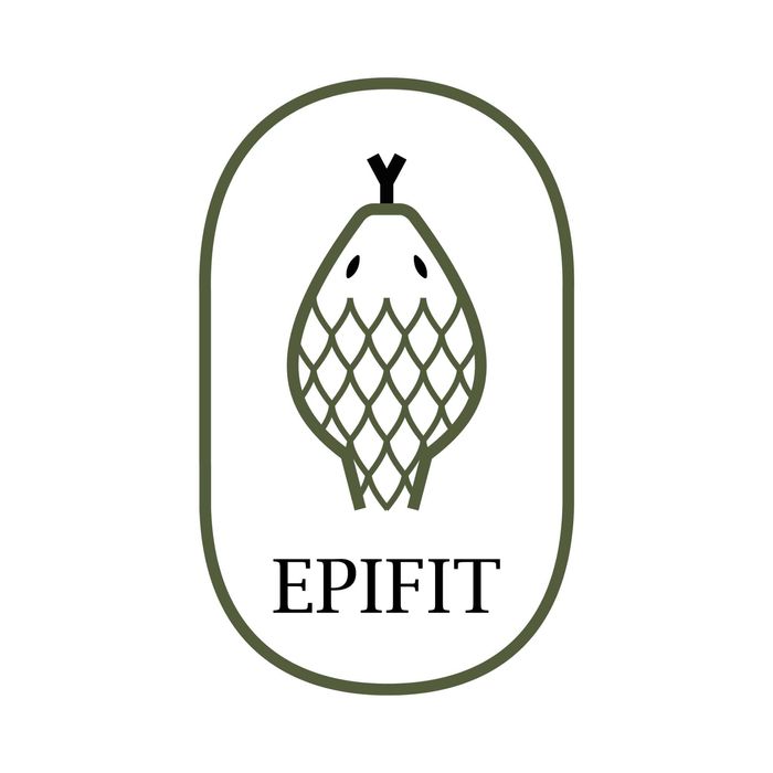 Ptasznik pająk Phormictopus sp. Dominican purple + wyposażenie