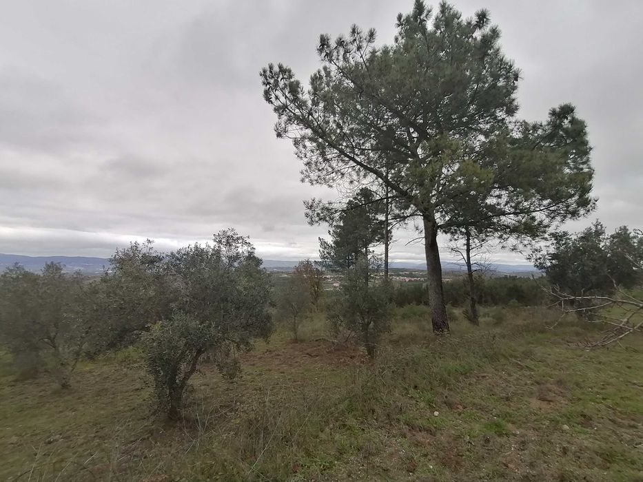 Vendo Magnifica propriedade no Parque Natural da Serra da Estrela