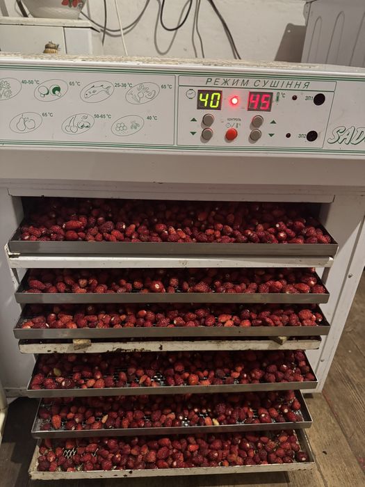 Сушена, суниця , помідор,черешня ,полуниця,вишня електро сушарка
