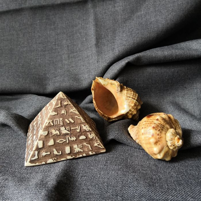 Piramida egipska, amfora, muszle rapana venosa