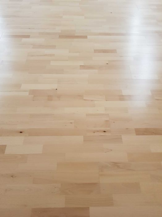 panele/ podłoga sportowa Barlinek Sport Training