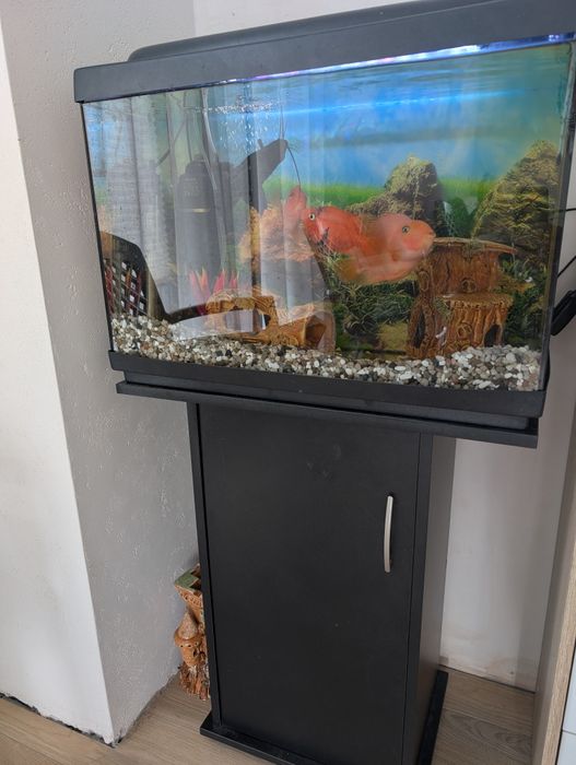 Акваріум 70л з тумбочкою