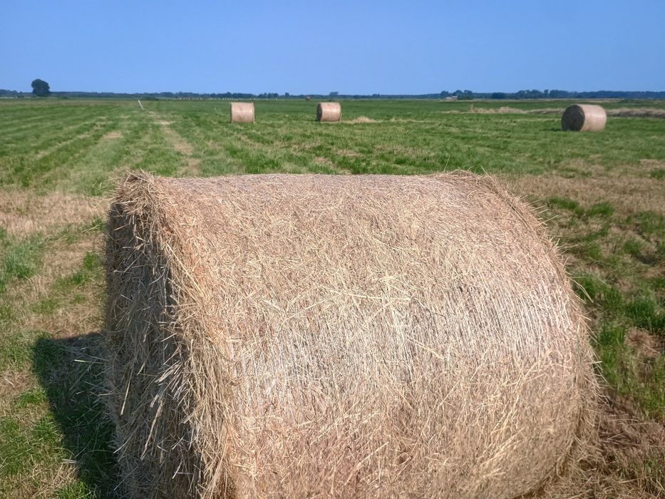 Siano drugi pokos