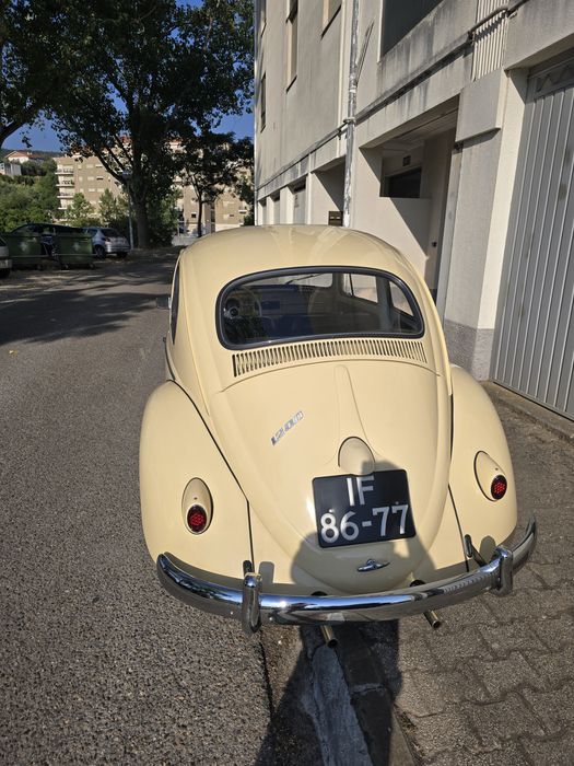 Carocha para eventos