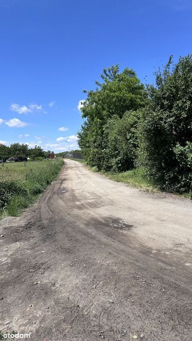 Działka budowlana 272/2, 1319 m², Piotrkowiczki, Trzebnica, S5 Wrocław - Widok 6
