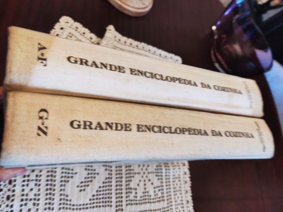 Vendo 2 livros Maria Lourdes Modesto