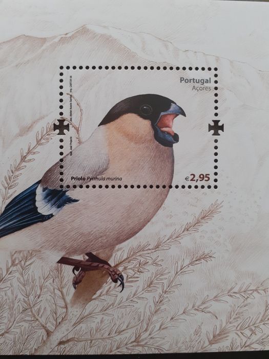 Selos CTT,.priolo 2008