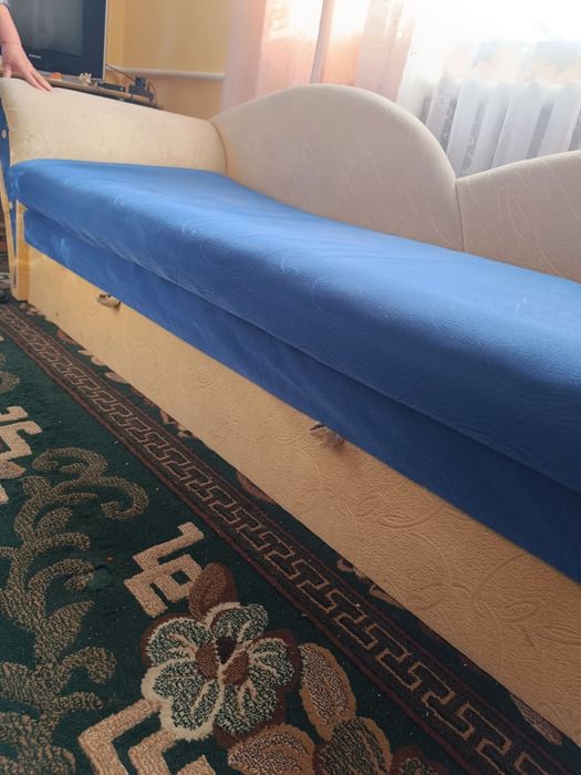 Розкладна софа в задовільному стані