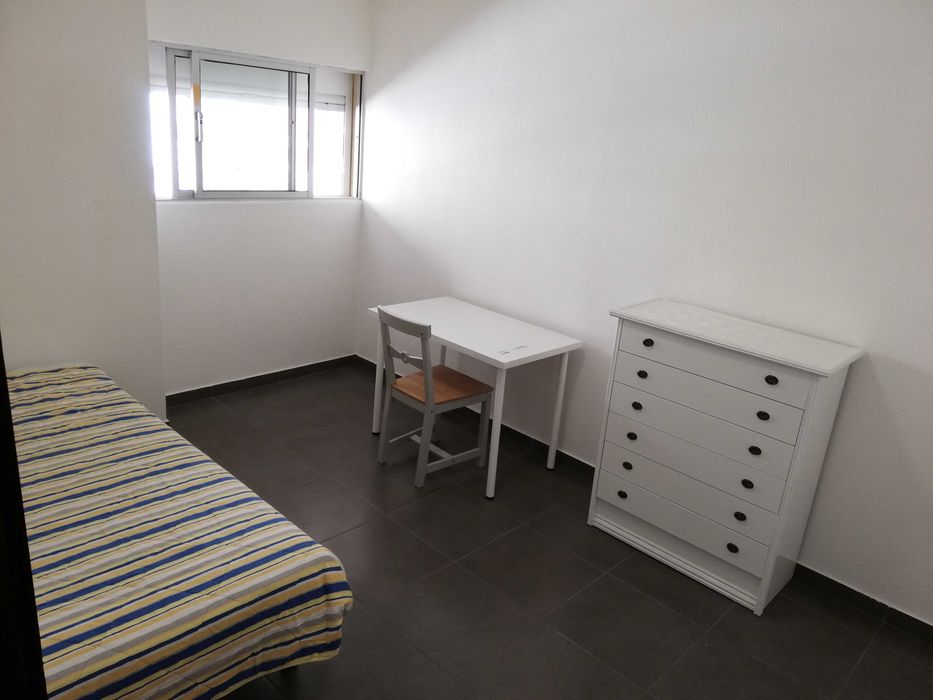 Quarto Estudante Universitária em FARO
