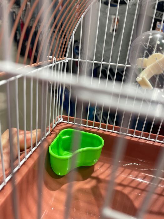 Gaiolas de hamster e acessórios