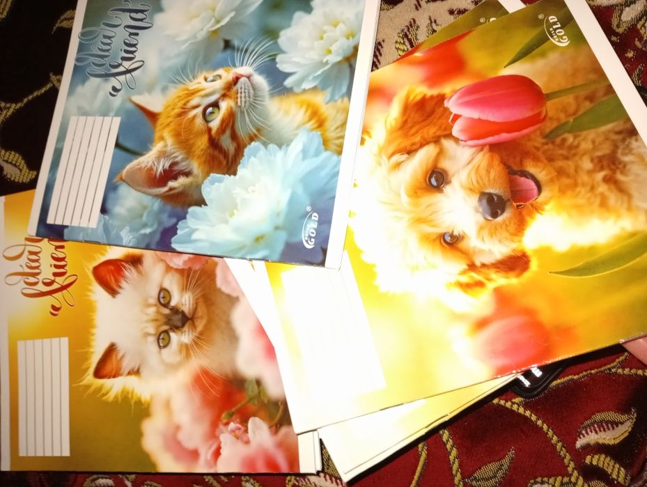 Зошит тетрадь 18 аркушів