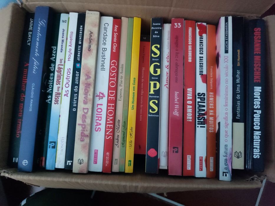 Covilhã Lote de livros