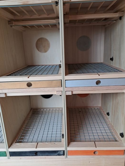 Casulos à medida para pombos