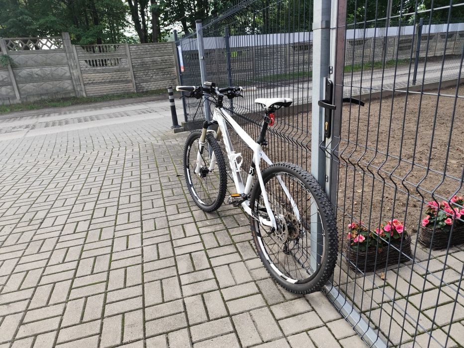 Scott scale 50 biały