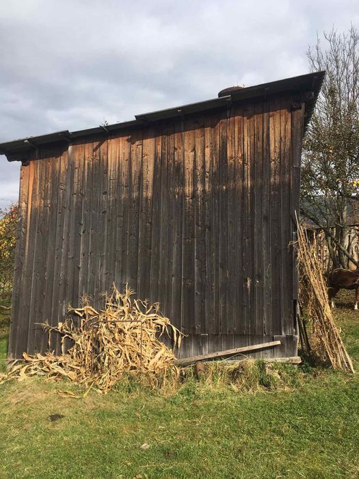 Стара дошка Вигорівша на сонці