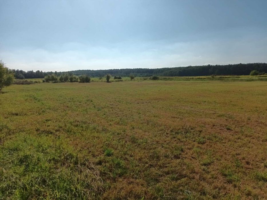 Działka w Słupnie