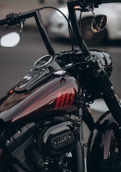 Harley-Davidson Dyna Switchback (FLD)