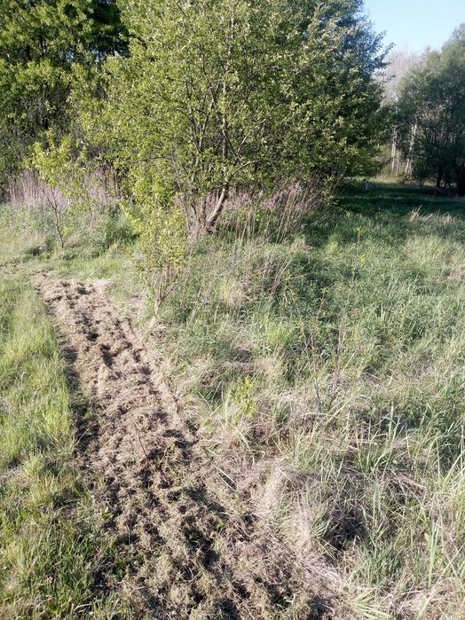 Koszenie trawy, nieużytków