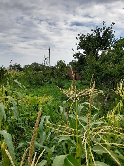 Продам будинок 15 км від Черкас в селі Леськи