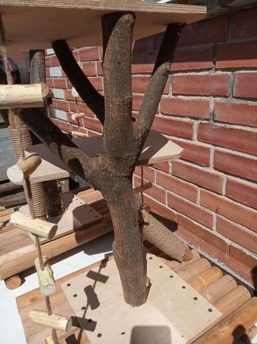 Когтеточка для кота