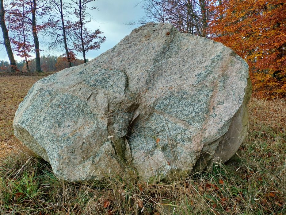 Duży głaz ozdobny