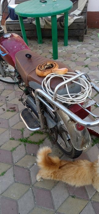 Альфа 110 клмн мотора