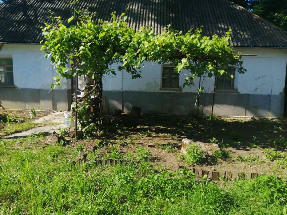 Будинок під дачу