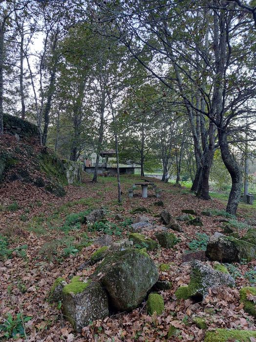 Terreno/Quinta de Lazer com 2.580 m² junto à Ribeira de Juncal | Soalhães