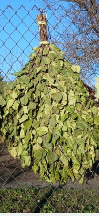 Віники для бані.