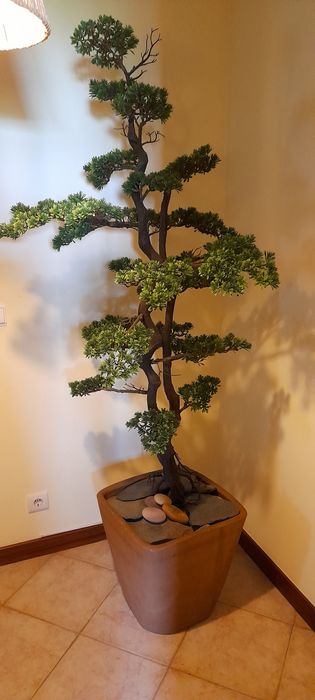 Bonsai artificial