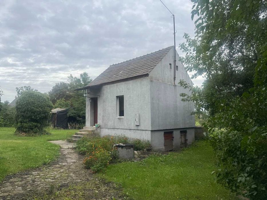 domek i działka 1,2ha (może kupić każdy bez zgody Kowr) - Widok 5