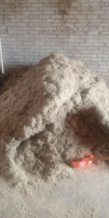 Suchy STMR dla cieląt cielak jałoszka byczek