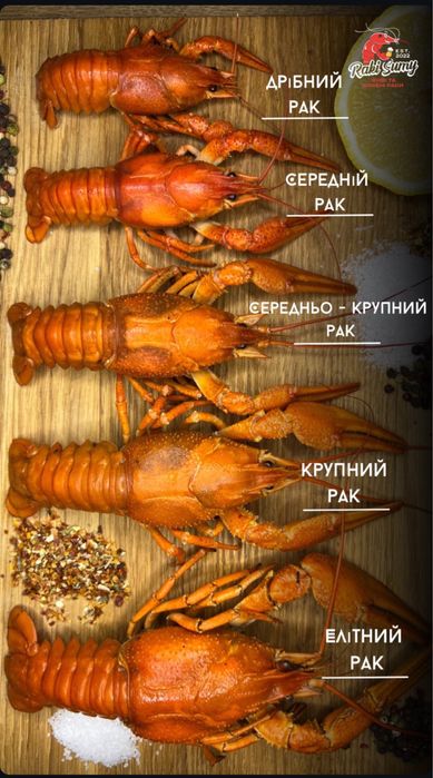 Живі та варені Раки в наявності.