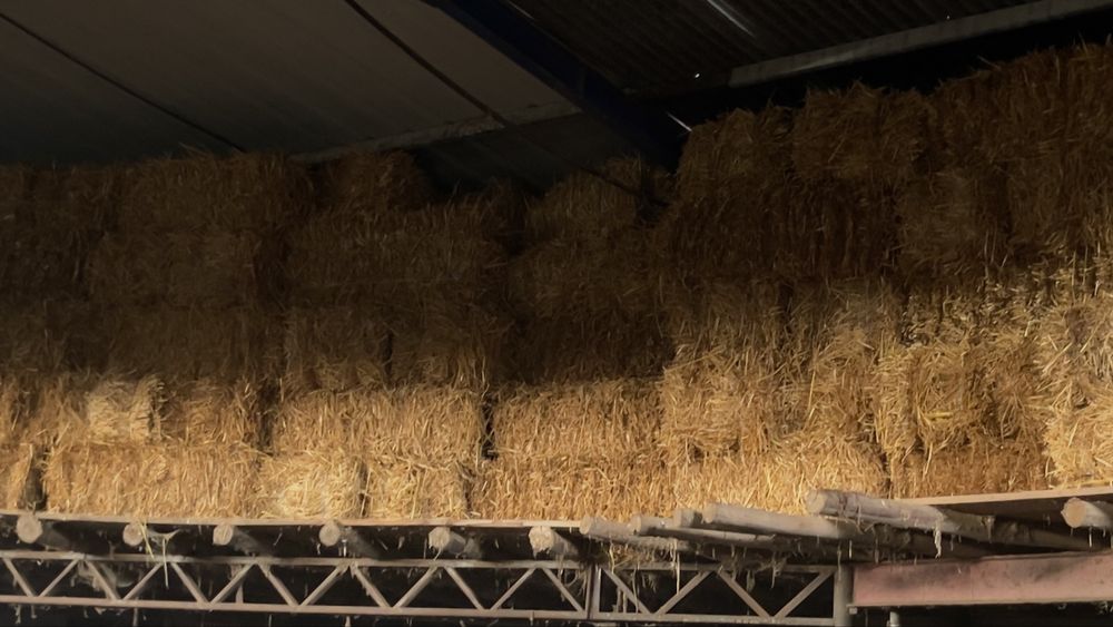 Fardos de palha de aveia